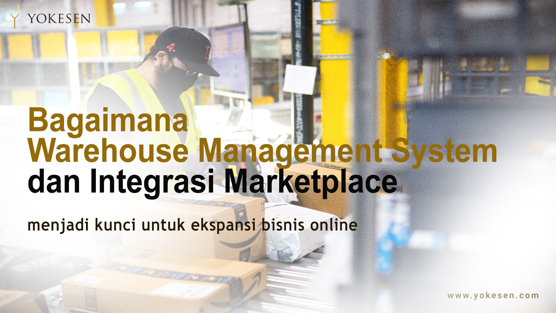 warehouse management system warehouse management system
